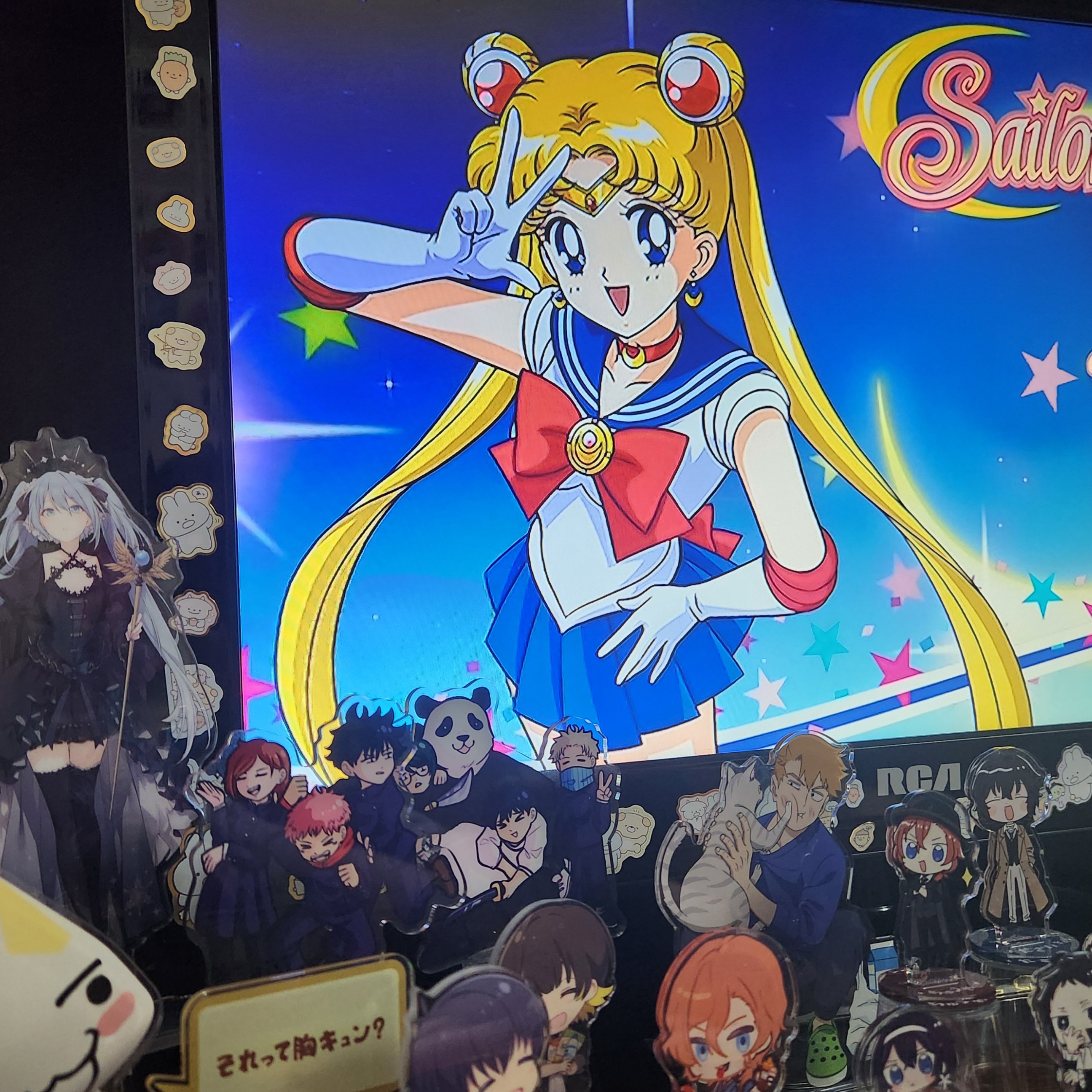 a photo of a tv displaying the sailor moon dvd's menu